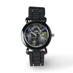 Staffordshire Bull Terriër in Blue Roos Garden, Horloge