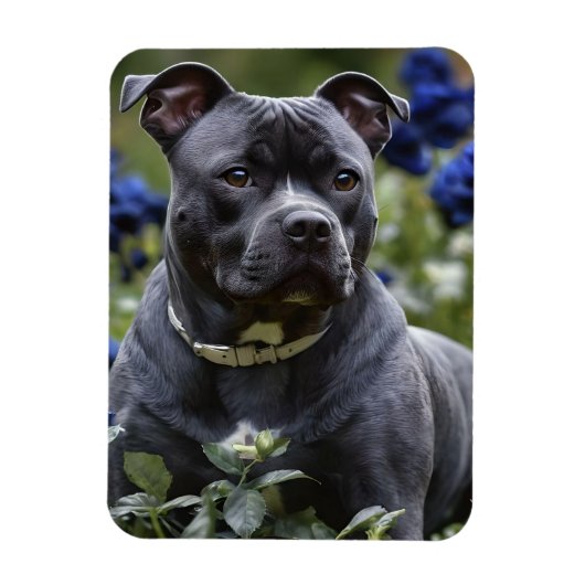 Staffordshire Bull Terriër in Blue Roos Garden, Magneet (Verticaal)