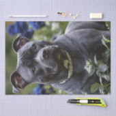 Staffordshire Bull Terriër in Blue Roos Garden, Tissuepapier (Craft)