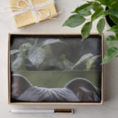 Staffordshire Bull Terriër in Blue Roos Garden, Tissuepapier (Geschenk)