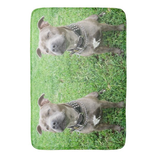 Staffordshire Bull Terrier in de houding, Badmat (Voorkant Verticaal)