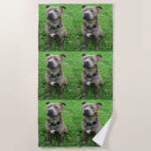 Staffordshire Bull Terrier in de houding, Strandlaken (Voorkant)