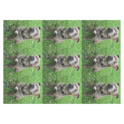 Staffordshire Bull Terrier in de houding, Tafelkleed (Voorkant (Horizontaal))