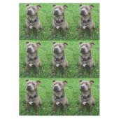 Staffordshire Bull Terrier in de houding, Tafelkleed (Voorkant)