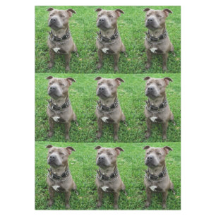 Staffordshire Bull Terrier in de houding, Tafelkleed