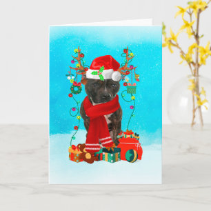 Staffordshire Bull Terrier in de sneeuw met Kerstm Kaart