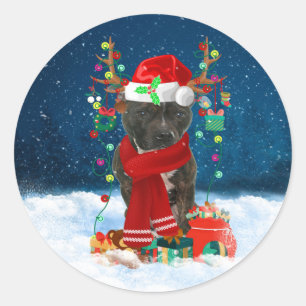 Staffordshire Bull Terrier in Snow met Kerstmis Ronde Sticker