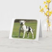 Staffordshire Bull Terrier Kaart (Gele Bloem)