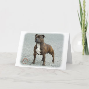 Staffordshire Bull Terrier Kaart