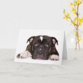 Staffordshire bull terrier Kaart R001 (Gele Bloem)