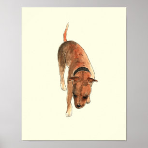 Staffordshire Bull Terrier Leuke Aquarel Hond Kuns Poster