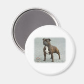 Staffordshire Bull Terrier Magneet (Voorkant / Achterkant)