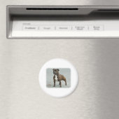 Staffordshire Bull Terrier Magneet (Insitu (Vaatwasser))