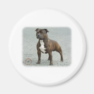 Staffordshire Bull Terrier Magneet
