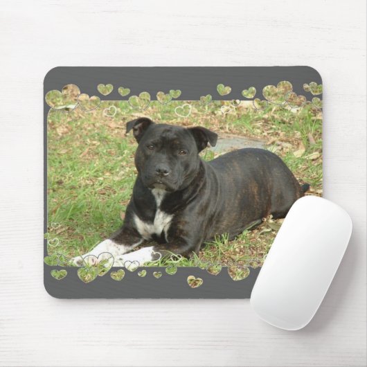 Staffordshire Bull Terrier-muispad Muismat (Met muis)