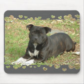Staffordshire Bull Terrier-muispad Muismat (Voorkant)