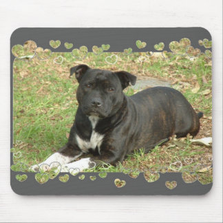 Staffordshire Bull Terrier-muispad Muismat