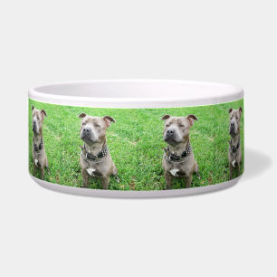 Staffordshire Bull Terrier Opgelet, Voerbakje
