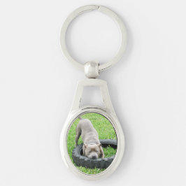 Staffordshire Bull Terrier, Oval Metal Keyring Sleutelhanger
