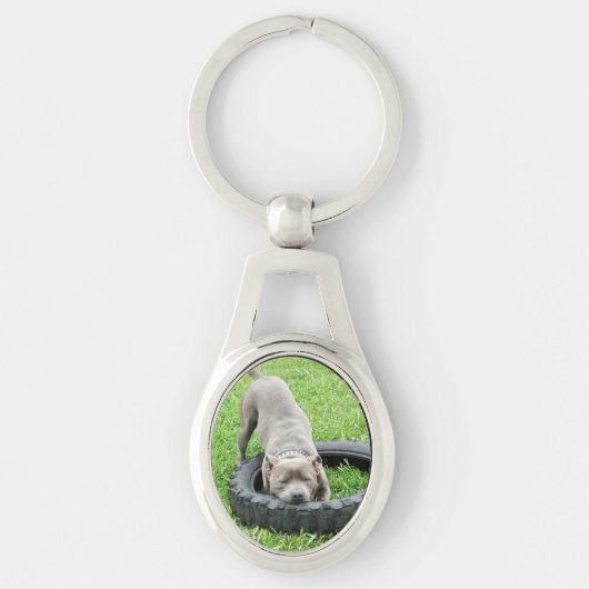 Staffordshire Bull Terrier, Oval Metal Keyring Sleutelhanger (Voorkant)