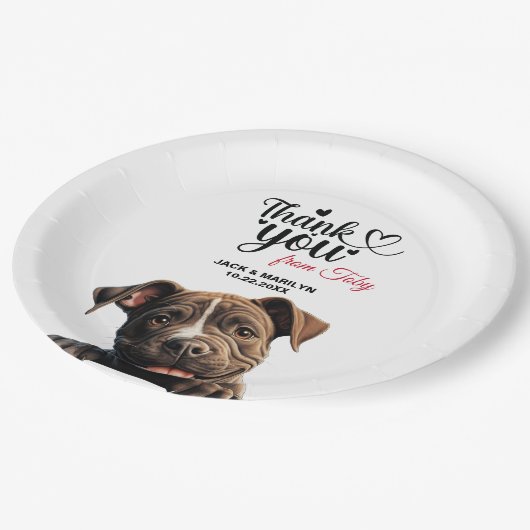 Staffordshire Bull Terrier Papieren Bordje (Gekanteld)