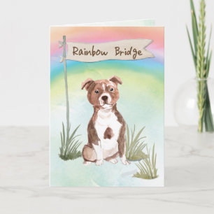 Staffordshire Bull Terrier Pet Sympathie Regenboog Kaart