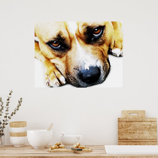 Staffordshire Bull Terrier Poster (Keuken)