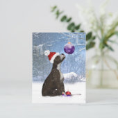 Staffordshire Bull Terrier Puppy - Briefkaart Wint (Staand voorkant)