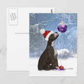 Staffordshire Bull Terrier Puppy - Briefkaart Wint (Voorkant / Achterkant)