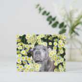 Staffordshire Bull Terrier Puppy in the Daisies Briefkaart (Staand voorkant)