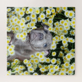 Staffordshire Bull Terrier Puppy in the Daisies Legpuzzel (Horizontaal)