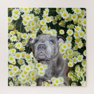 Staffordshire Bull Terrier Puppy in the Daisies Legpuzzel