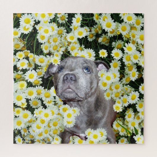 Staffordshire Bull Terrier Puppy in the Daisies Legpuzzel (Verticaal)