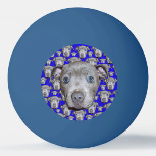 Staffordshire Bull Terrier Puppy Pingpongbal