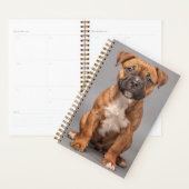 Staffordshire Bull Terrier Puppy Planner (Display)