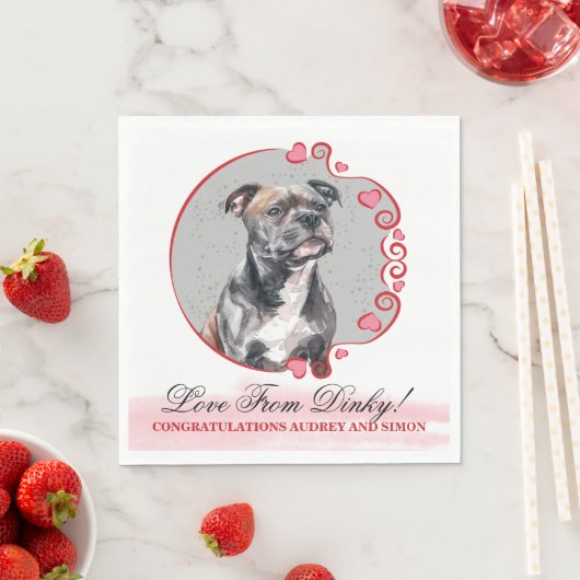 =Staffordshire Bull Terrier servet (Insitu)