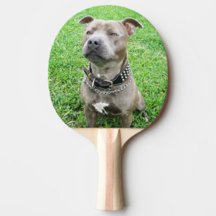 Staffordshire Bull Terrier Sitting Tafeltennisbatje