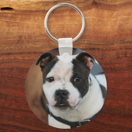 Staffordshire Bull Terrier sleutelhanger (Voorkant)