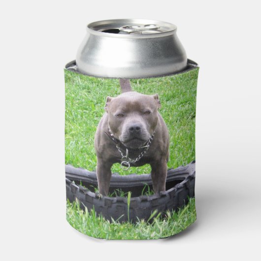 Staffordshire Bull Terrier, speeltijd, Blikjeskoeler (Blikje Voorkant)