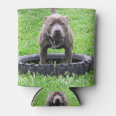 Staffordshire Bull Terrier, speeltijd, Blikjeskoeler (Voorkant)