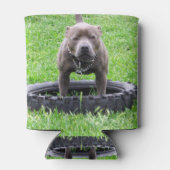 Staffordshire Bull Terrier, speeltijd, Blikjeskoeler (Achterkant)