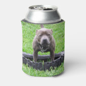 Staffordshire Bull Terrier, speeltijd, Blikjeskoeler (Blikje Achterkant)