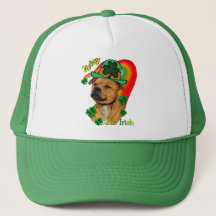 Staffordshire Bull Terrier St Patricks