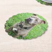 Staffordshire Bull Terrier ter attentie, Kartonnen Onderzetters (Gekanteld)