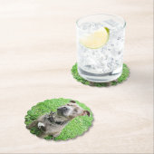 Staffordshire Bull Terrier ter attentie, Kartonnen Onderzetters (Insitu)