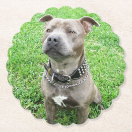 Staffordshire Bull Terrier ter attentie, Kartonnen Onderzetters