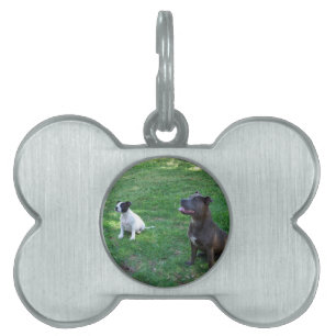 Staffordshire Bull Terrier Treat Time Huisdieren Naamplaatje
