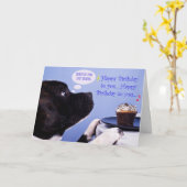 Staffordshire Bull Terrier verjaardagskaart Kaart (Gele Bloem)