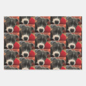 Staffordshire Bull Terrier Wrapping Paper (Voorkant 3)