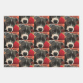 Staffordshire Bull Terrier Wrapping Paper (Voorkant 2)